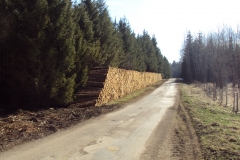 pile bois bord de route