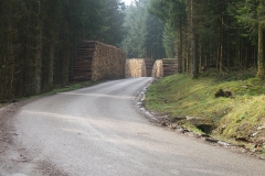 piles bois bord de route